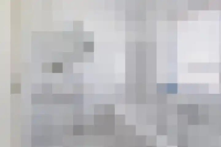 Wite Finne 41 Goutum thumbnail 44