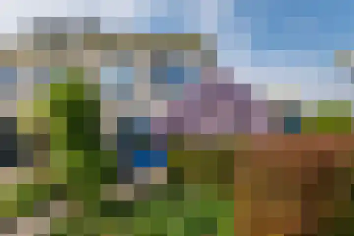 Wite Finne 41 Goutum thumbnail 47