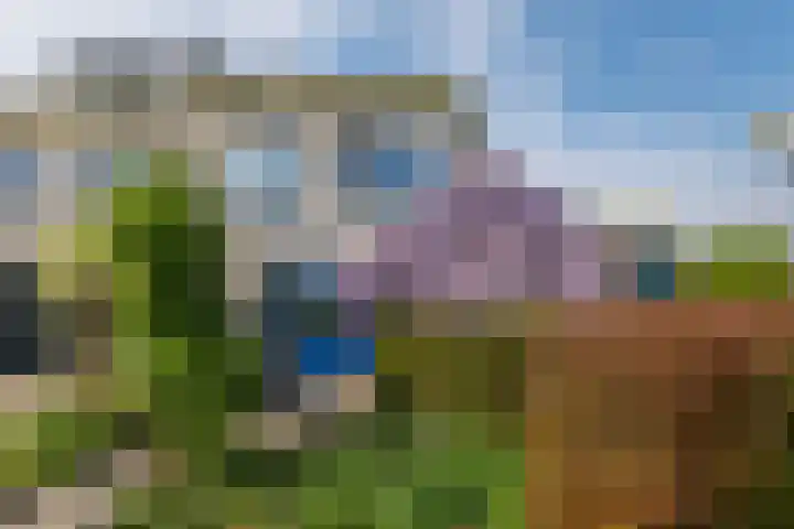 Wite Finne 41 Goutum thumbnail 5