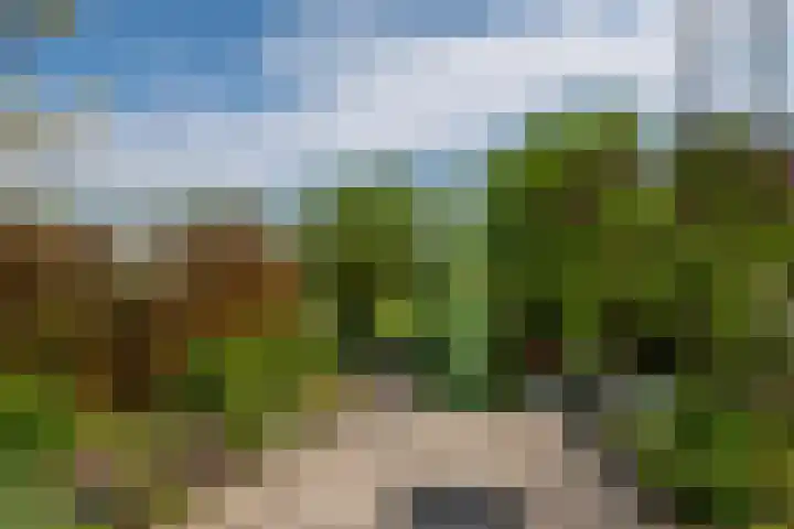 Wite Finne 41 Goutum thumbnail 50