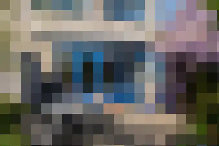 Wite Finne 41 Goutum thumbnail 51