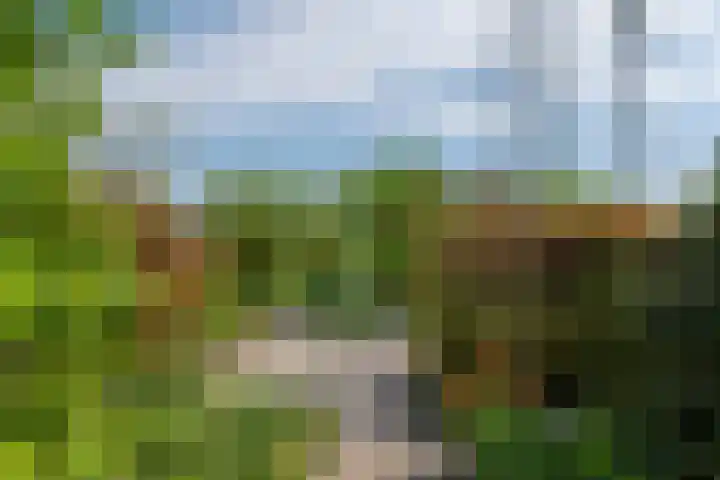 Wite Finne 41 Goutum thumbnail 52