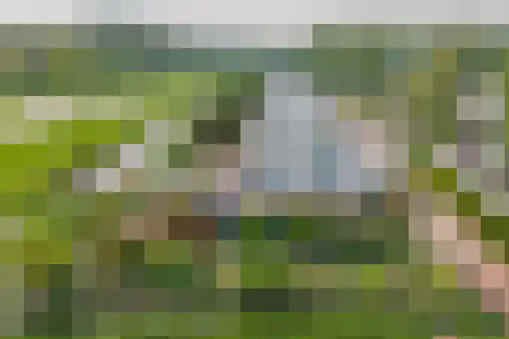 Wite Finne 41 Goutum thumbnail 55