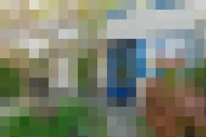 Wite Finne 41 Goutum thumbnail 6