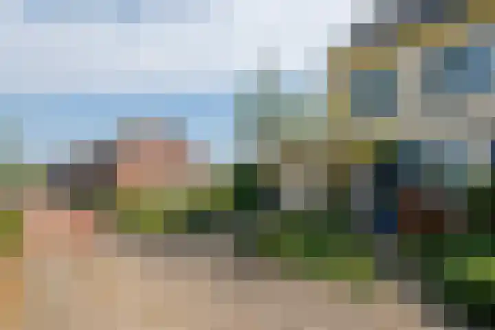 Wite Finne 41 Goutum thumbnail 7