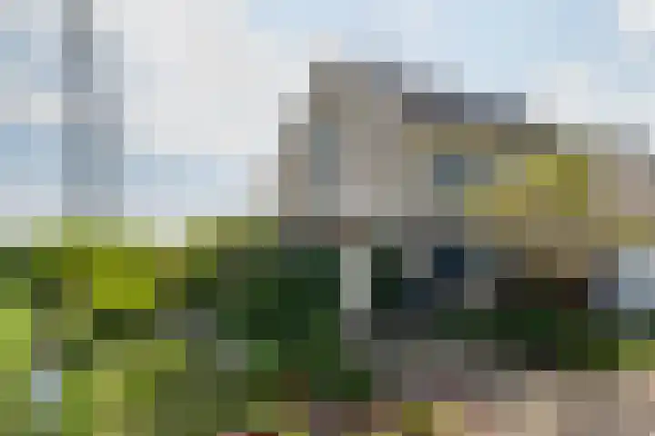 Wite Finne 41 Goutum thumbnail 8