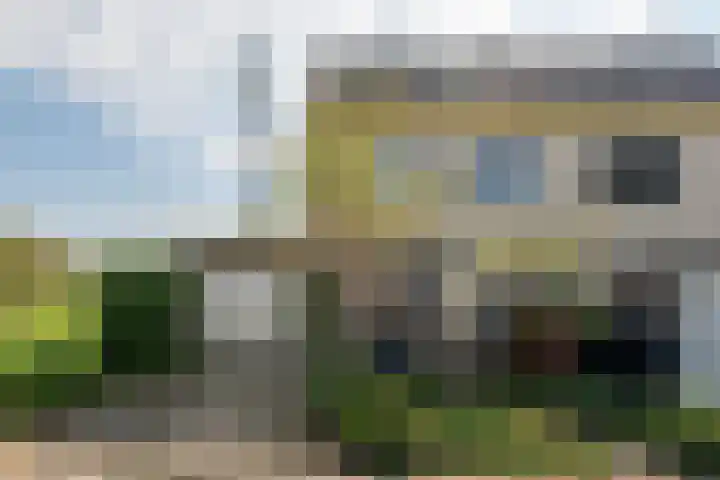 Wite Finne 41 Goutum thumbnail 9
