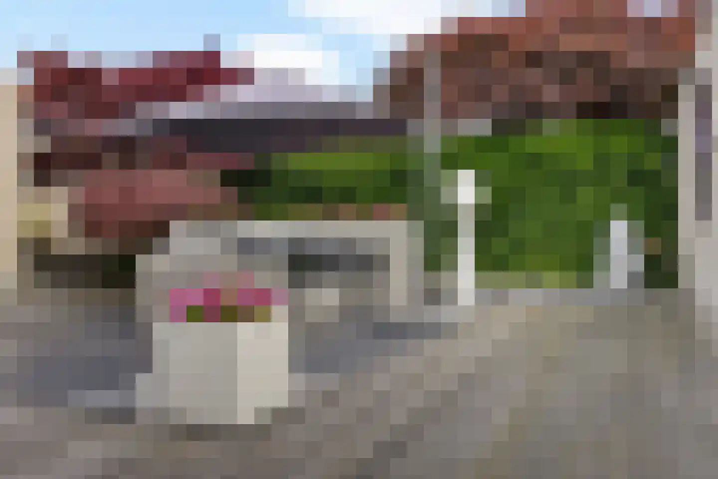 Wite Finne 6 Goutum thumbnail 12