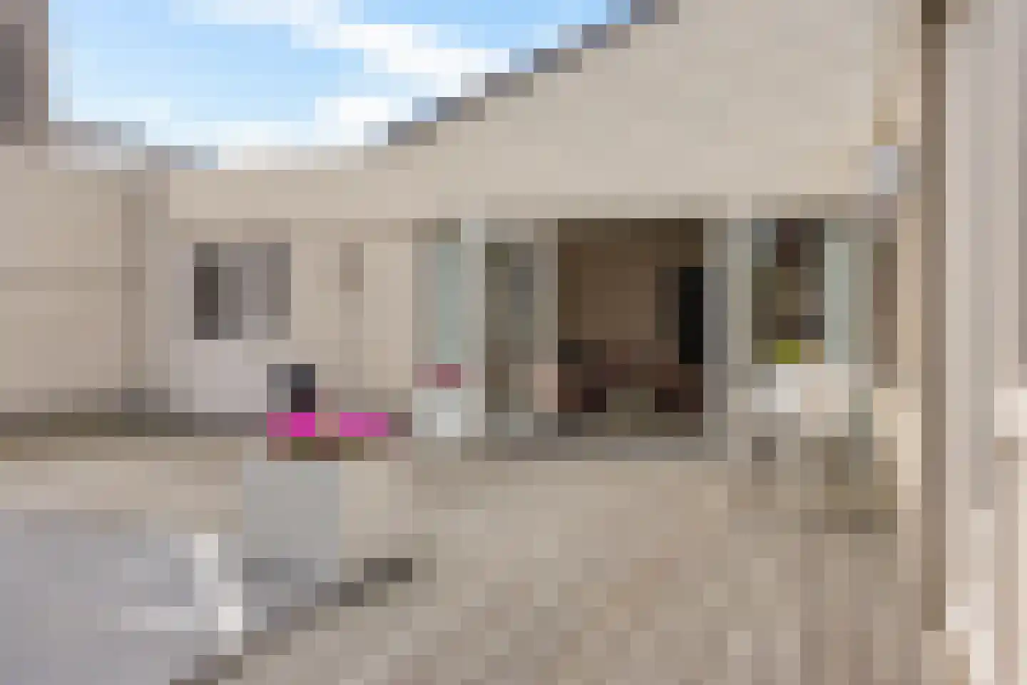 Wite Finne 6 Goutum thumbnail 14