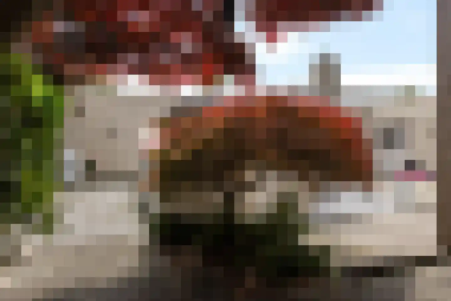 Wite Finne 6 Goutum thumbnail 15