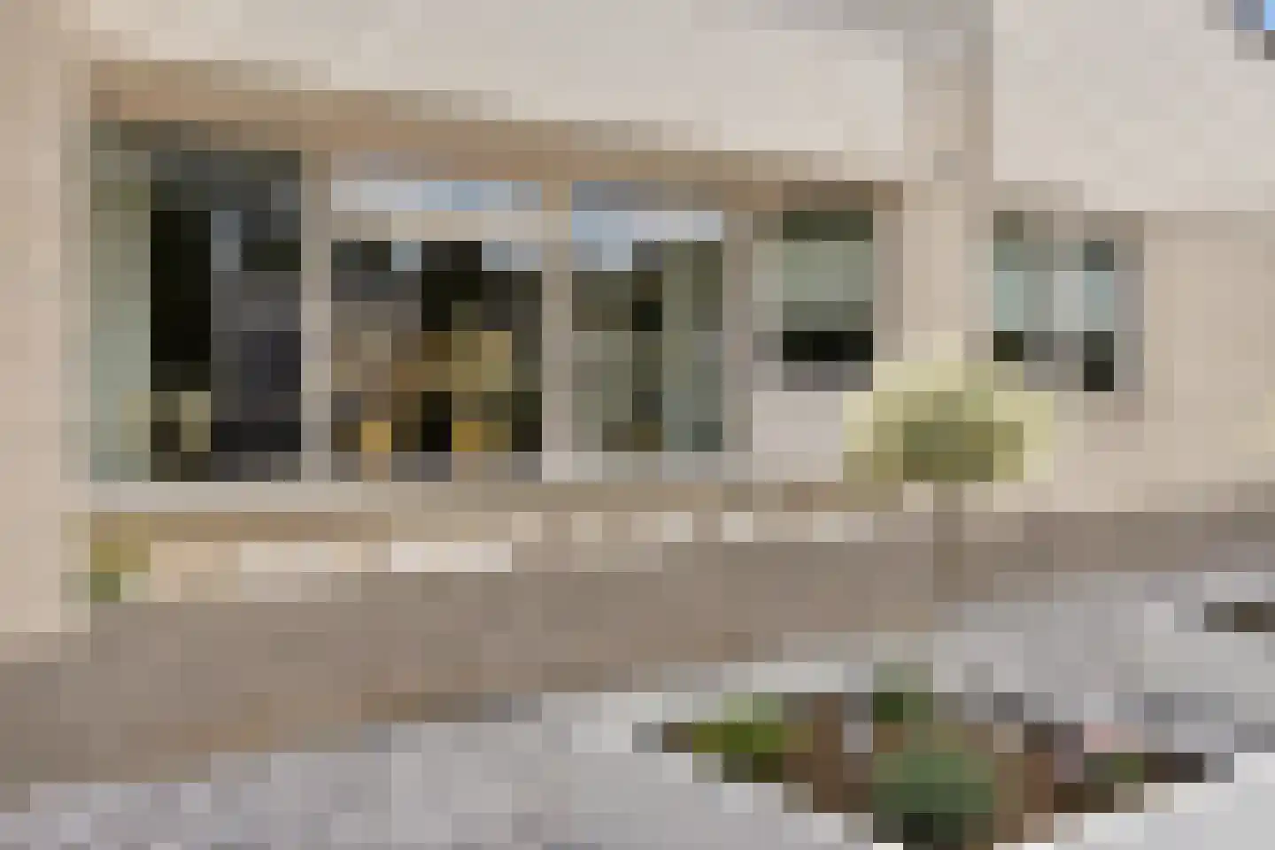Wite Finne 6 Goutum thumbnail 19