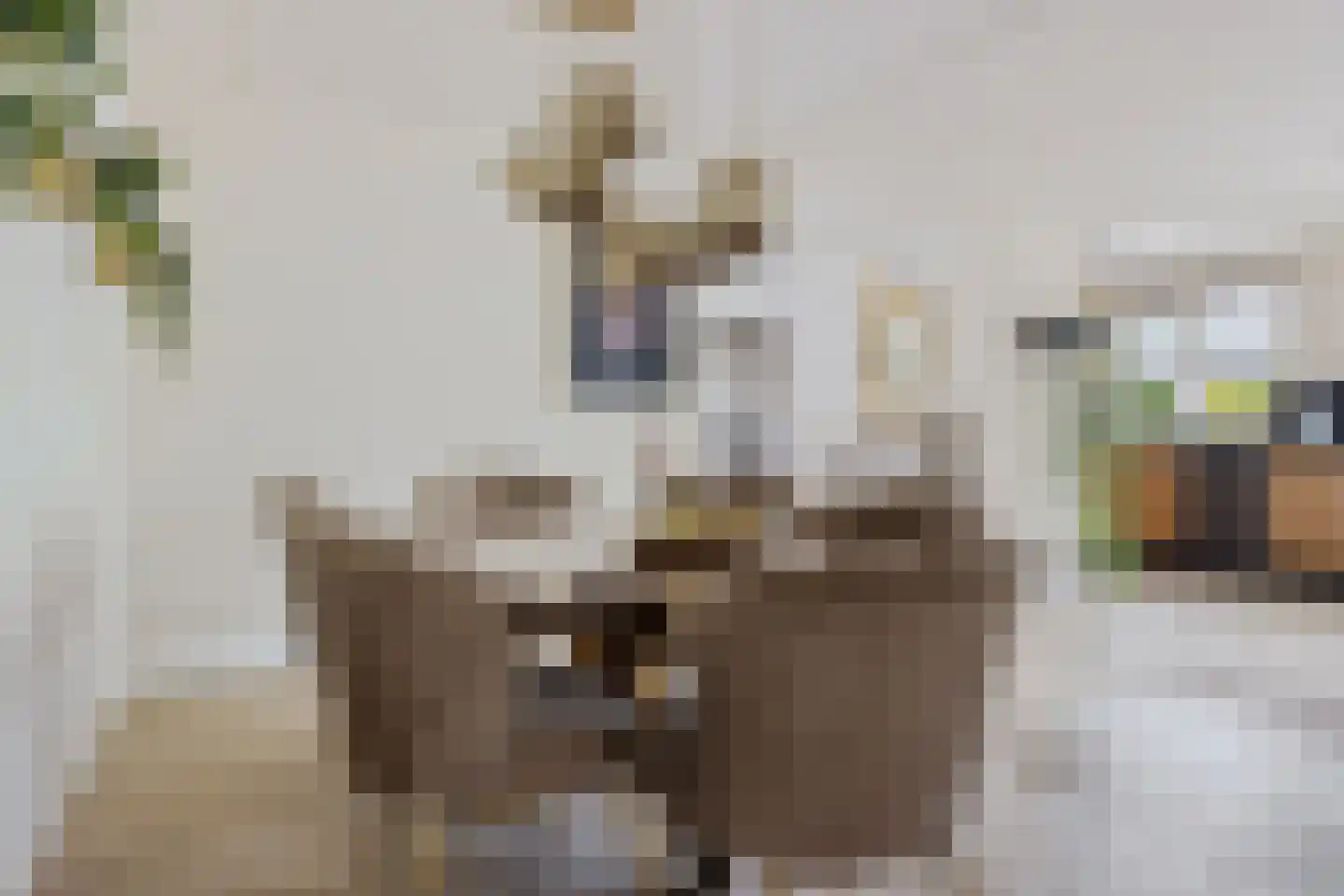 Wite Finne 6 Goutum thumbnail 28