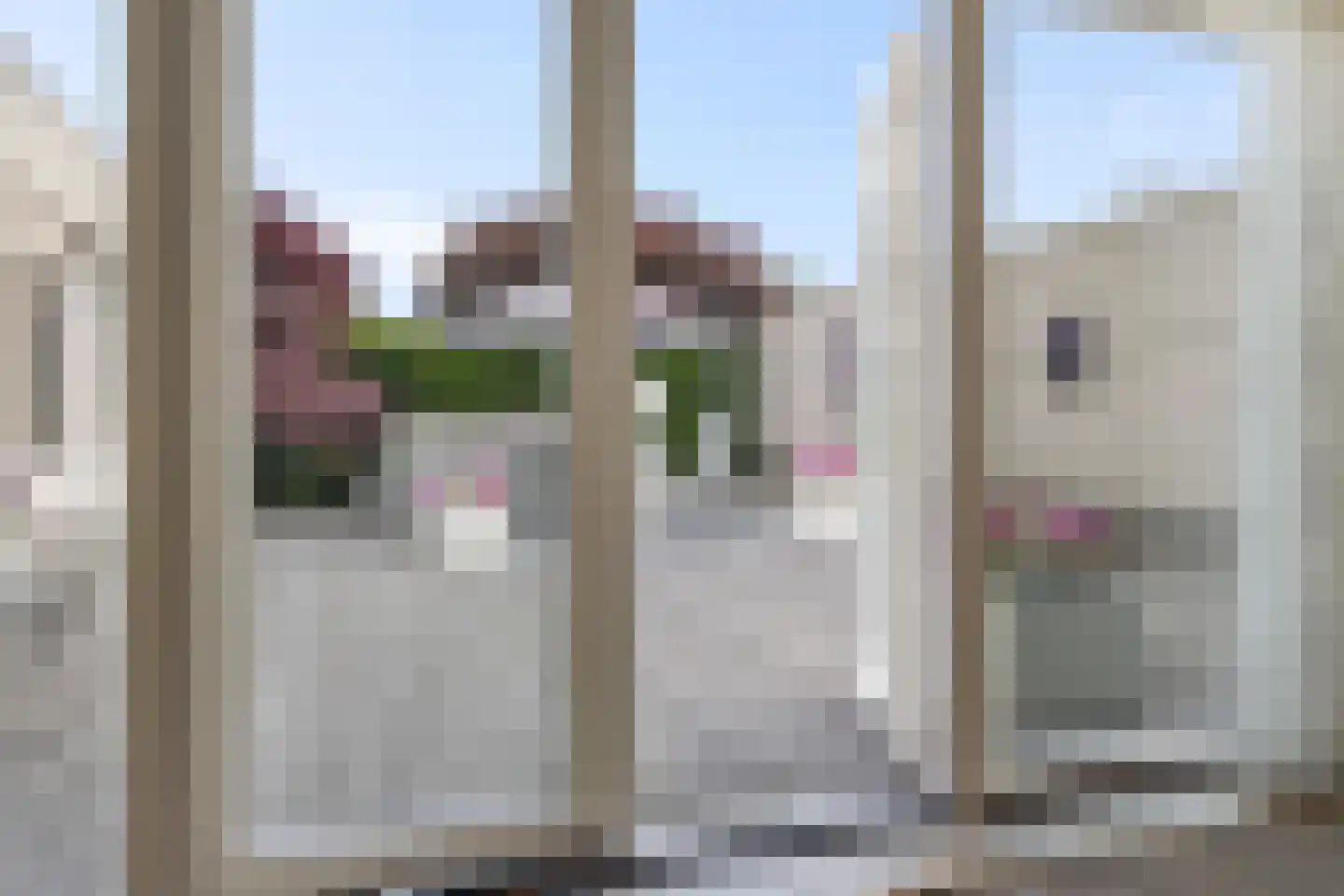 Wite Finne 6 Goutum thumbnail 29