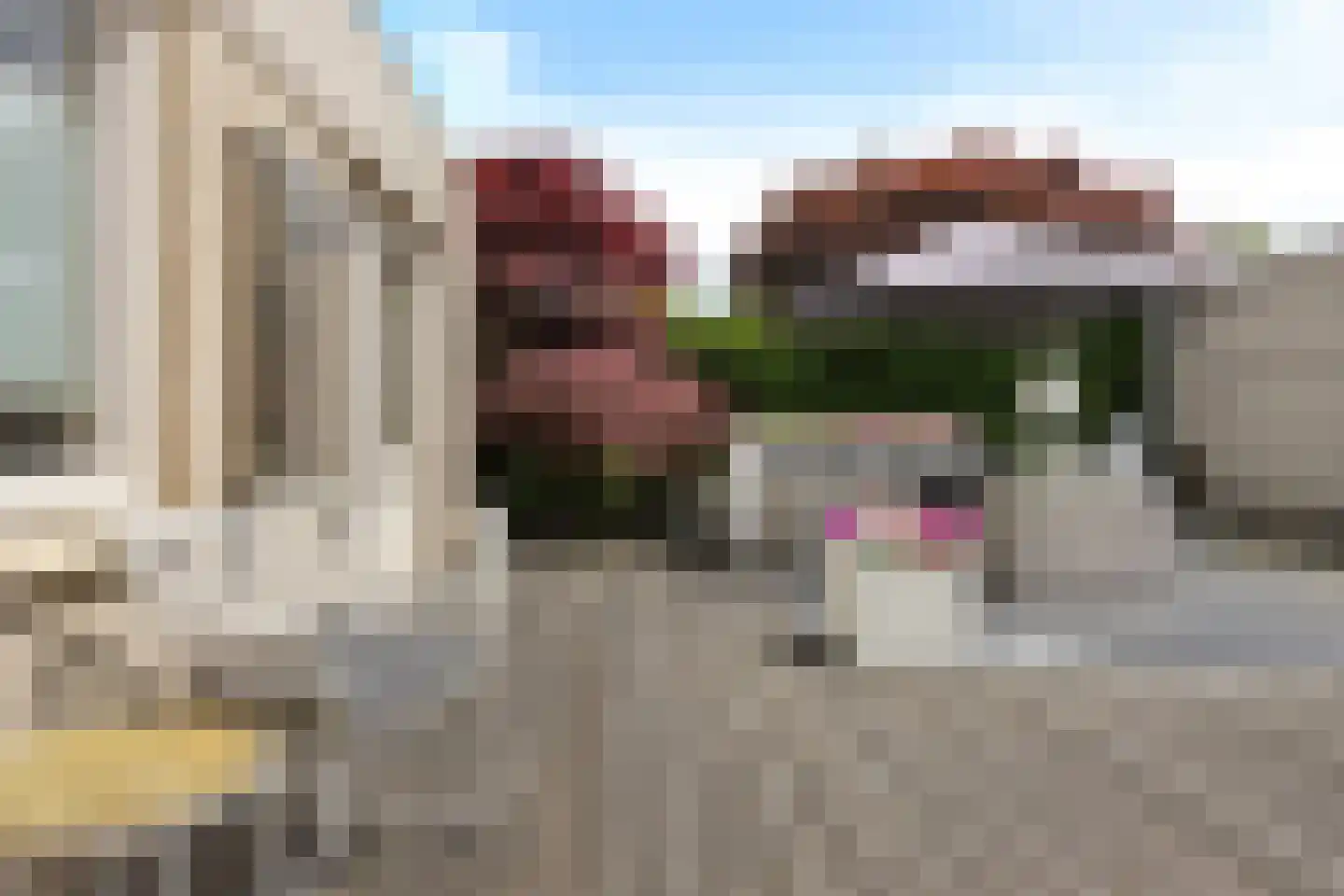 Wite Finne 6 Goutum thumbnail 30