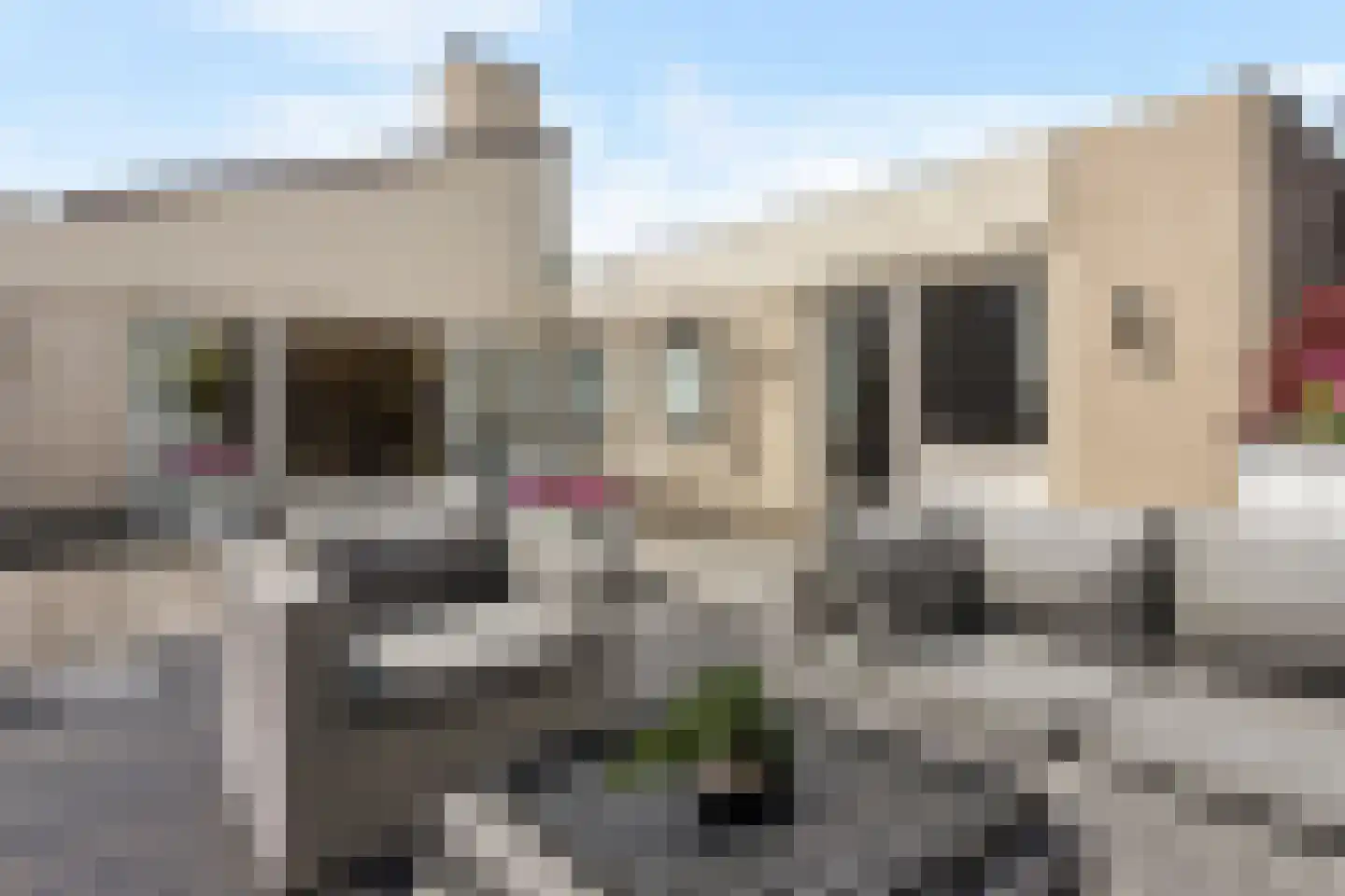 Wite Finne 6 Goutum thumbnail 31