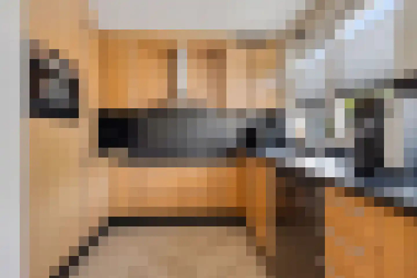 Wite Finne 6 Goutum thumbnail 36