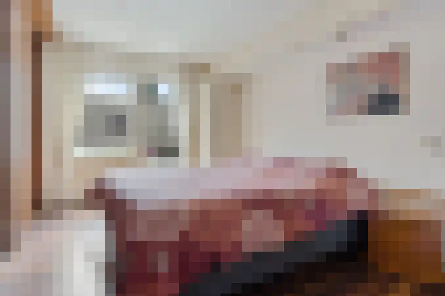 Wite Finne 6 Goutum thumbnail 39