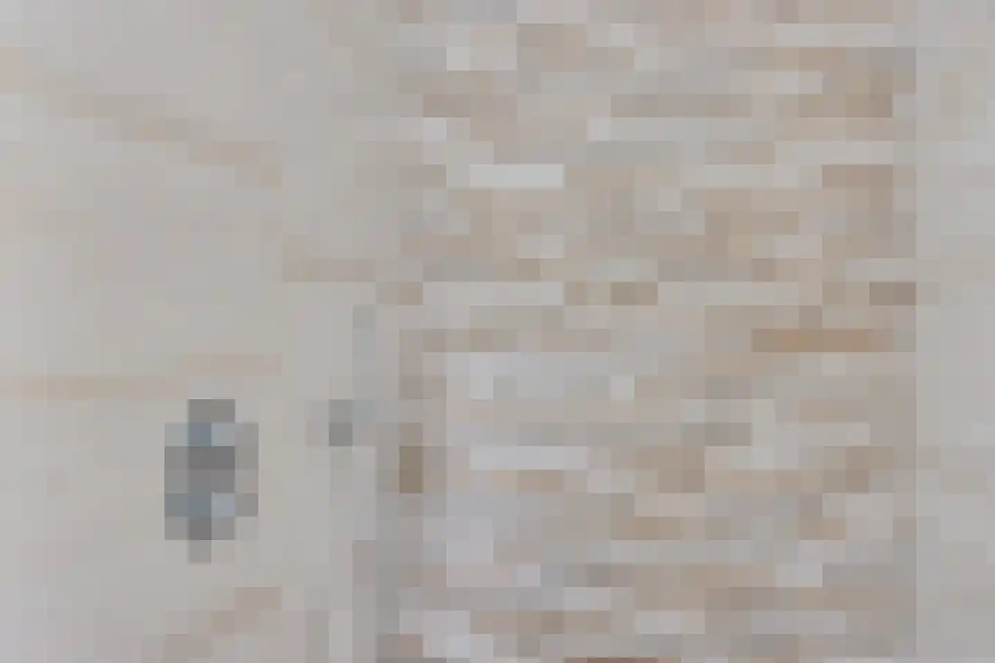 Wite Finne 6 Goutum thumbnail 43