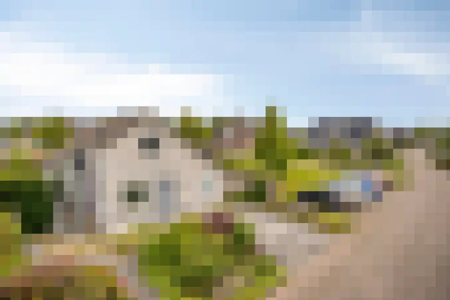 Wite Muonts 11 Heeg