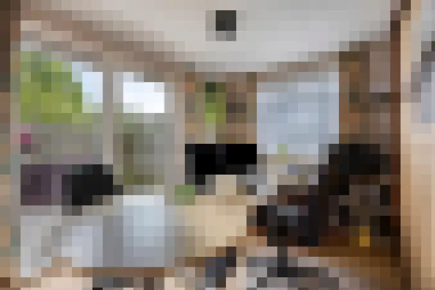 Wite Muonts 11 Heeg thumbnail 13