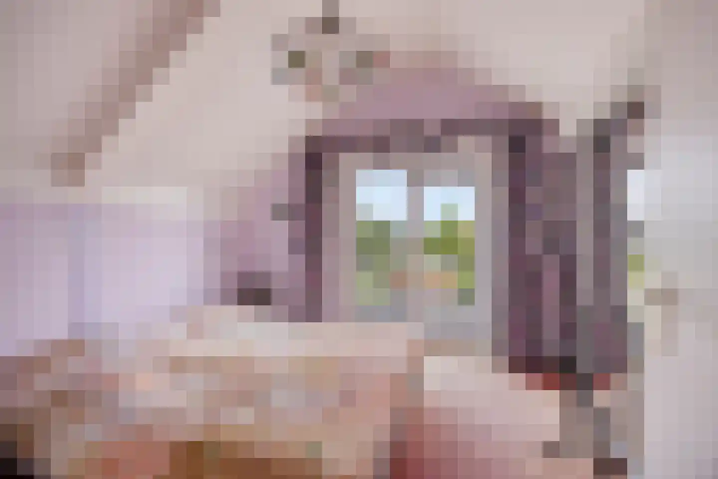 Wite Muonts 11 Heeg thumbnail 16