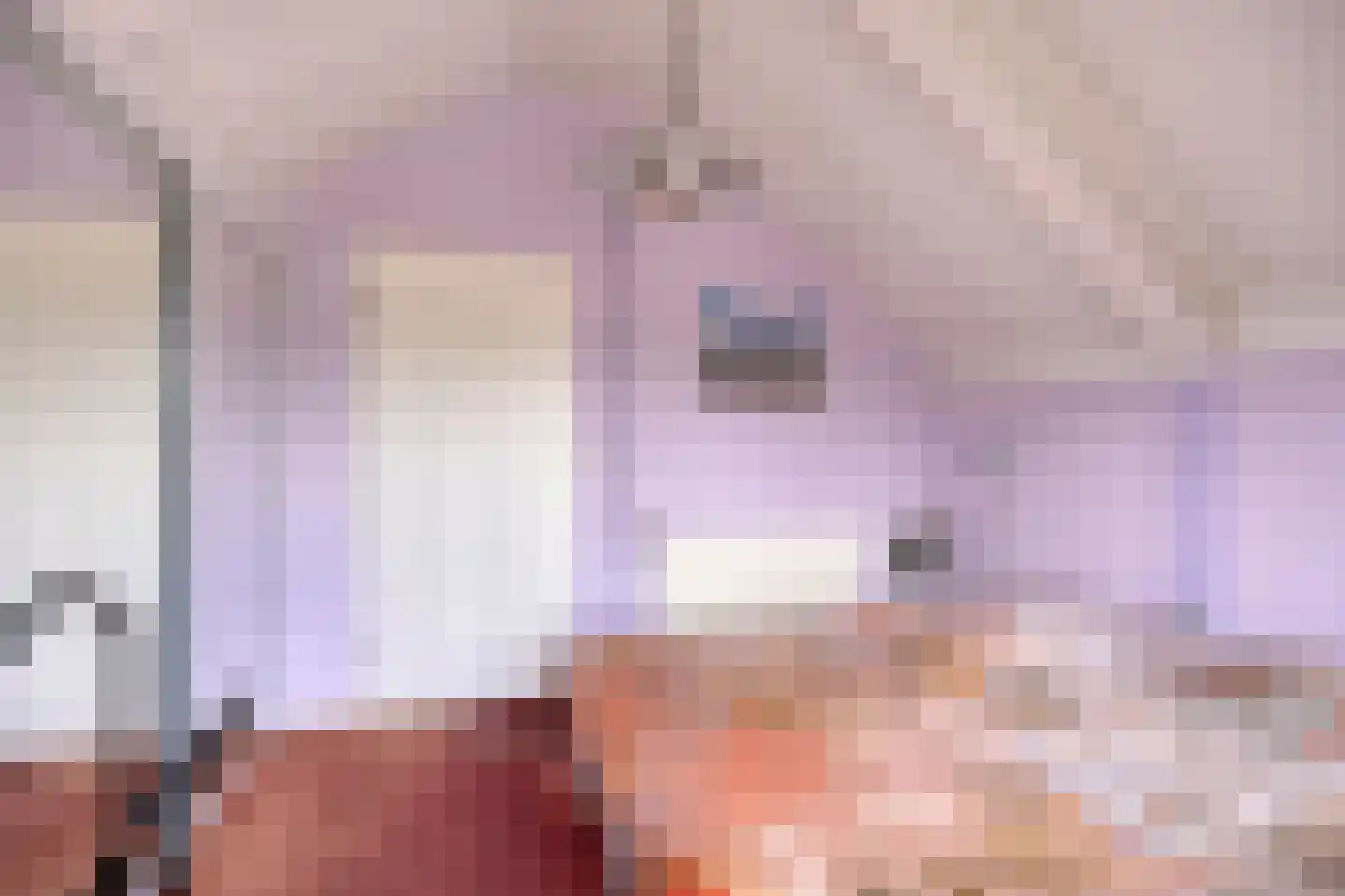 Wite Muonts 11 Heeg thumbnail 17