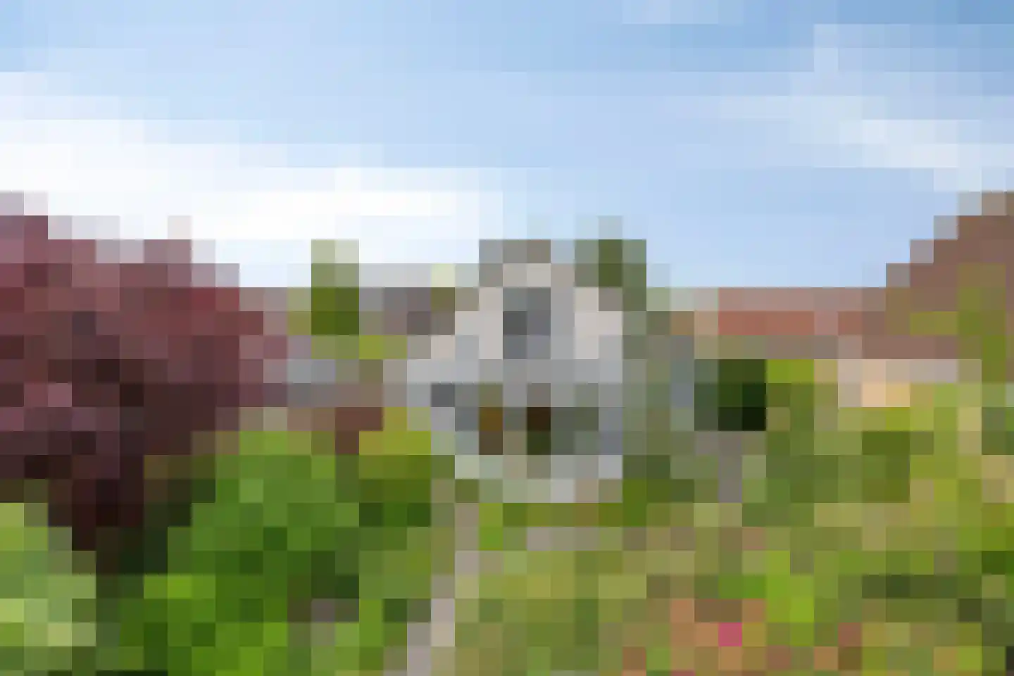 Wite Muonts 11 Heeg thumbnail 24
