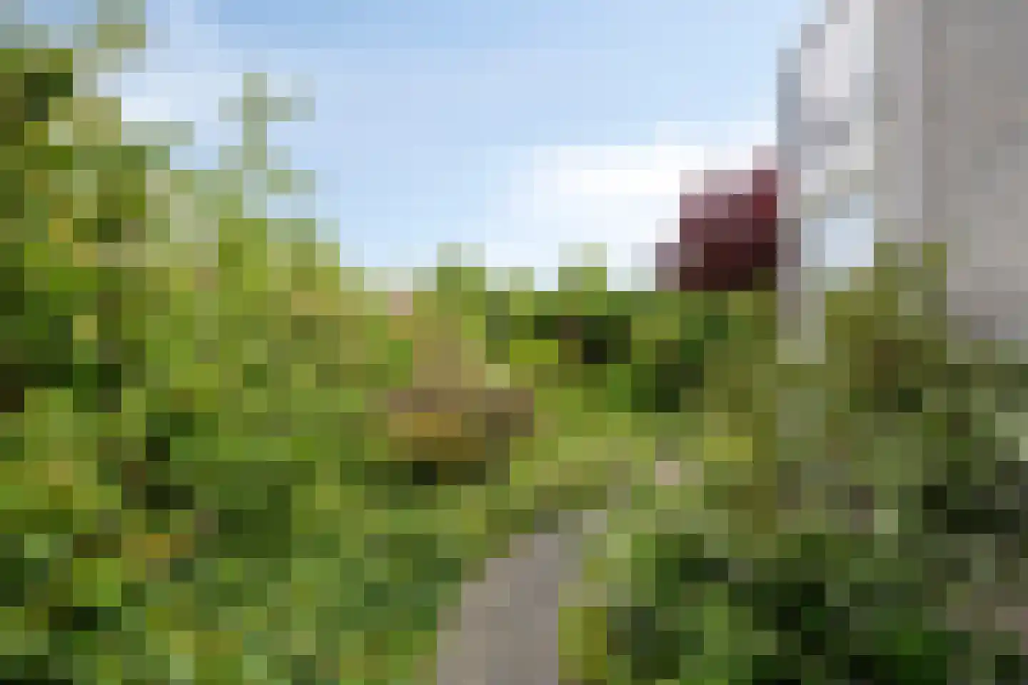 Wite Muonts 11 Heeg thumbnail 26