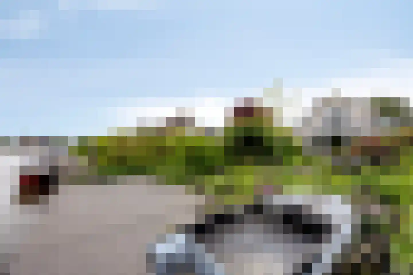 Wite Muonts 11 Heeg foto 3