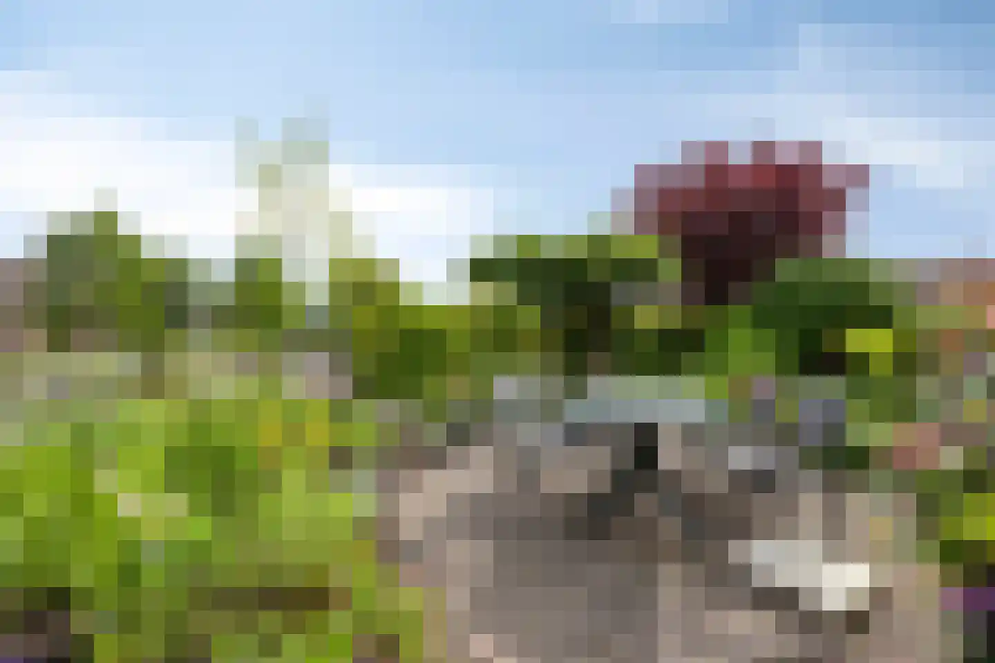 Wite Muonts 11 Heeg thumbnail 30