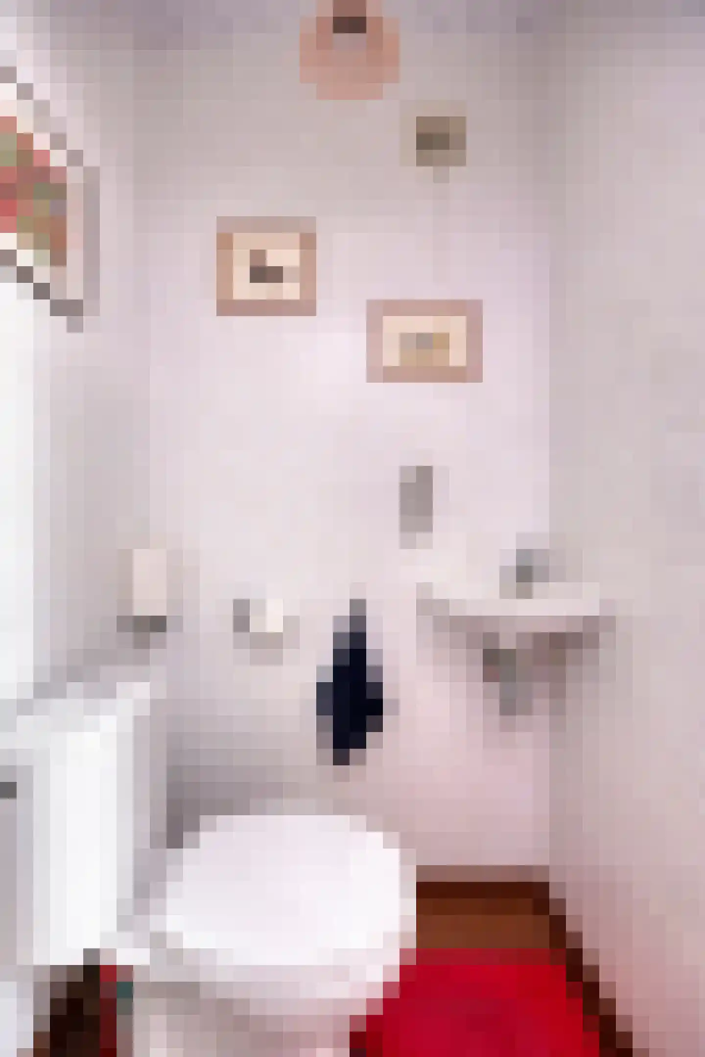 Wite Muonts 11 Heeg thumbnail 34