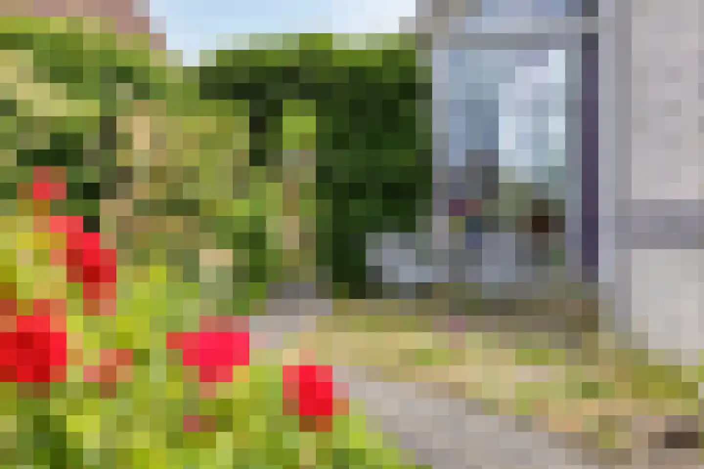 Wite Muonts 11 Heeg thumbnail 4