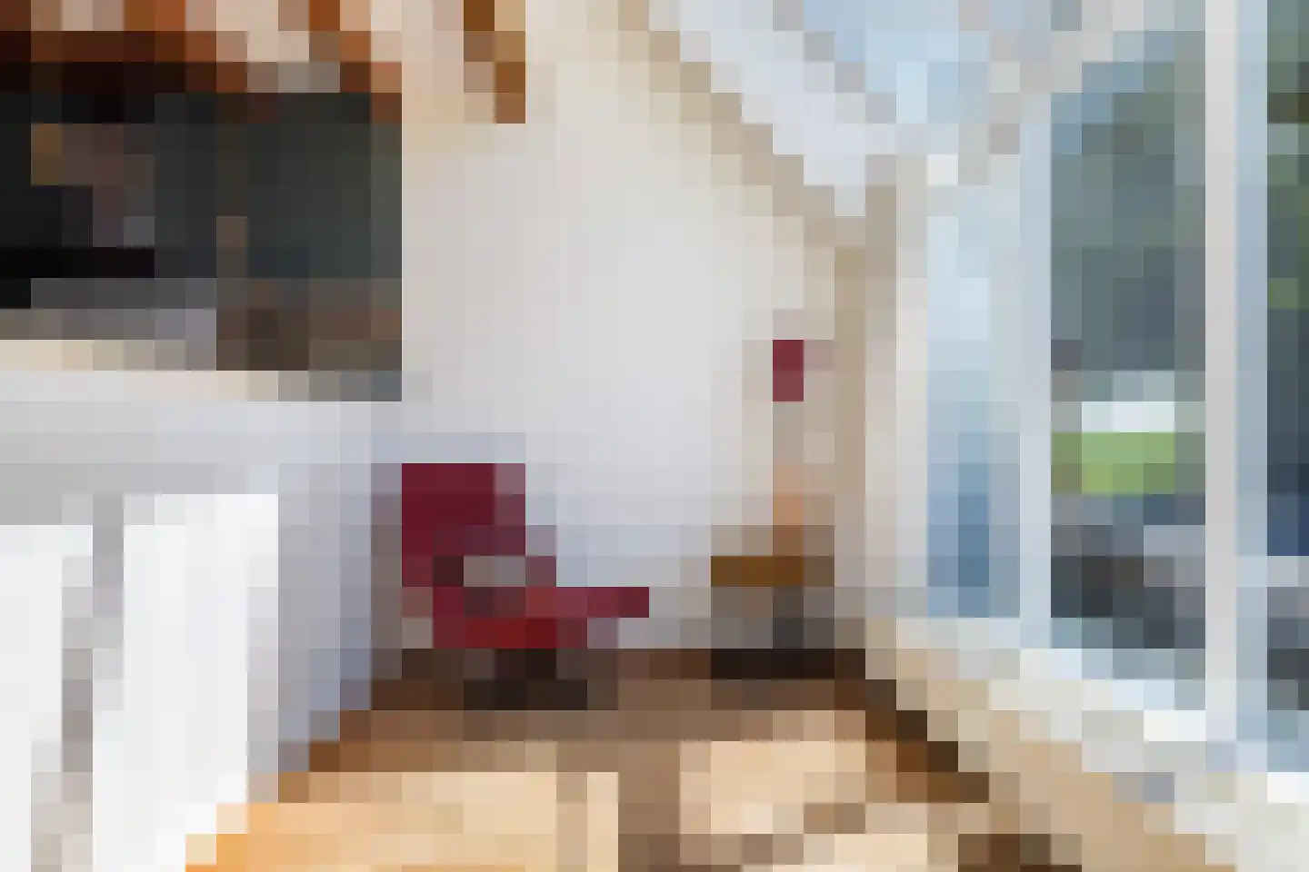 Witewei 2 Stiens thumbnail 12
