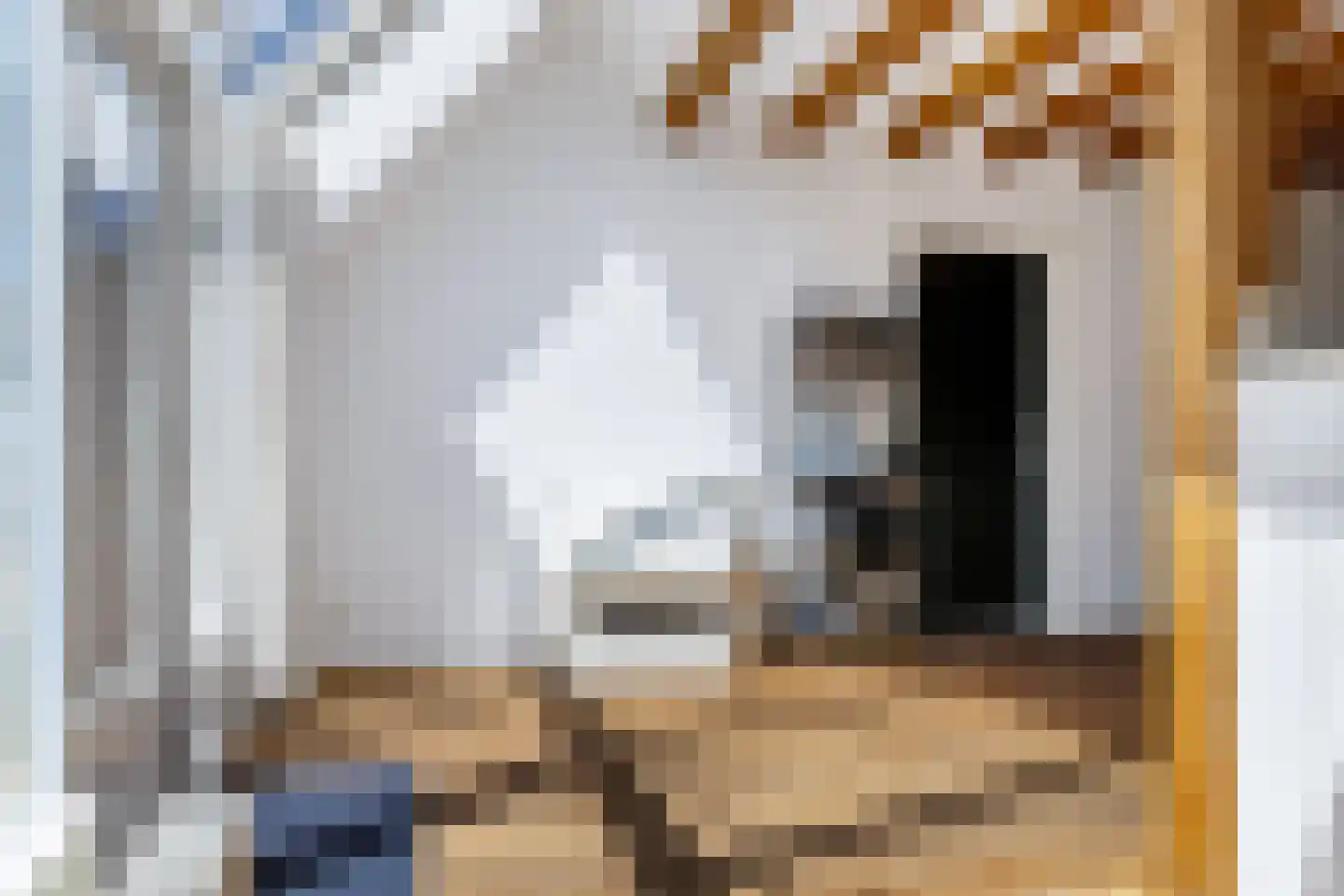 Witewei 2 Stiens thumbnail 13