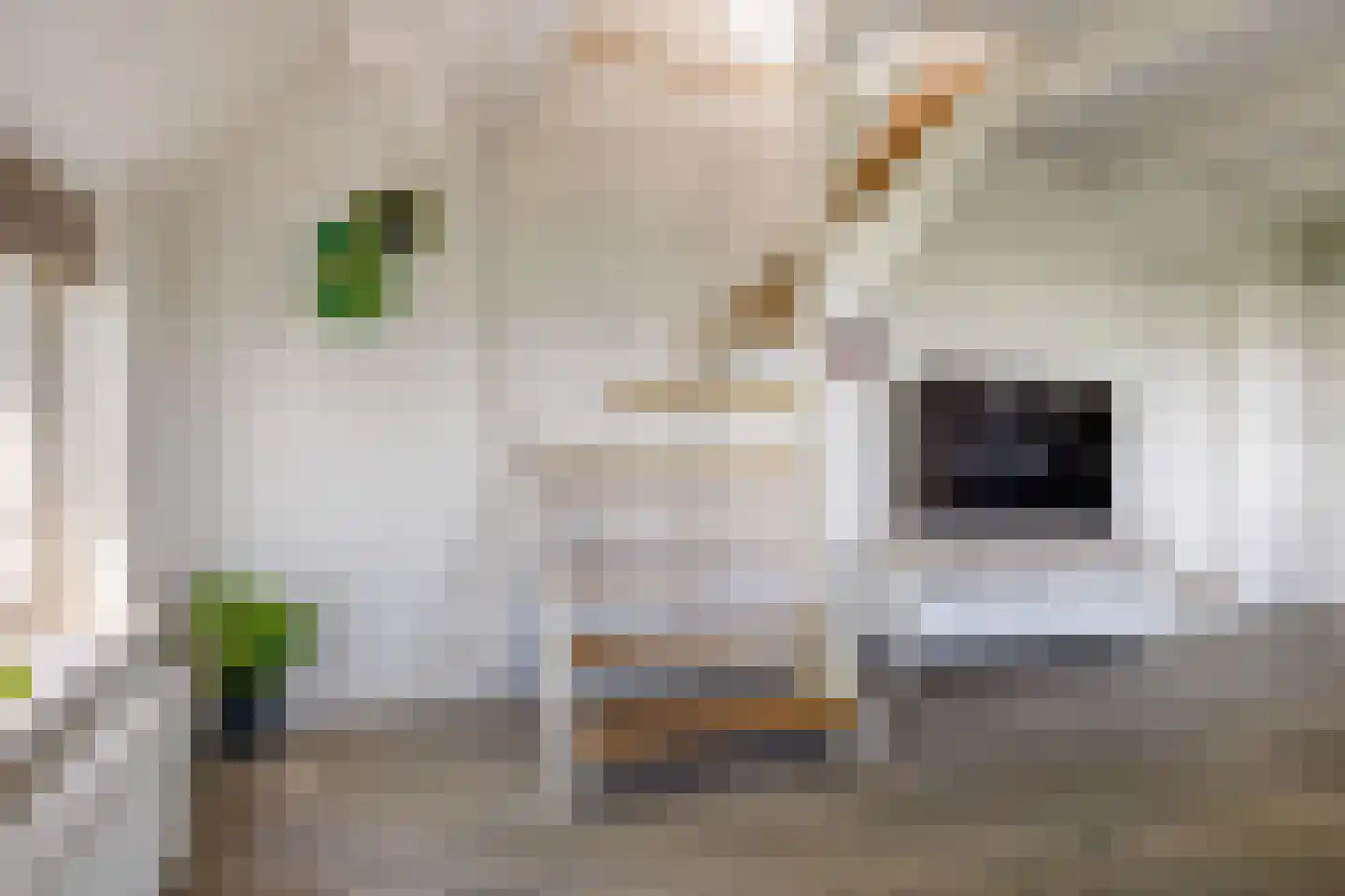 Witewei 2 Stiens thumbnail 22