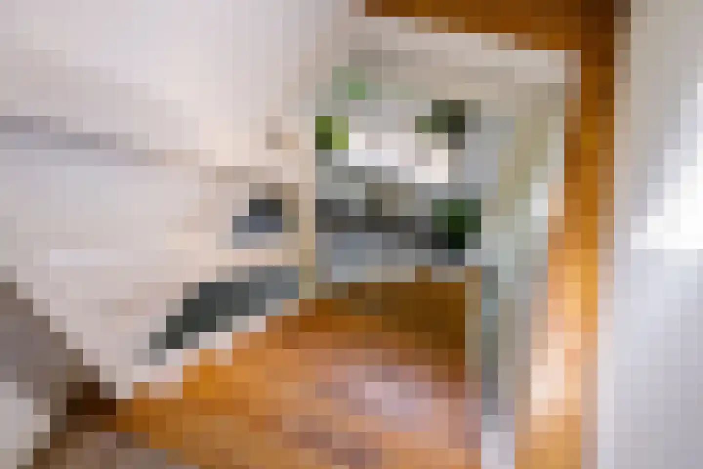 Witewei 2 Stiens thumbnail 36