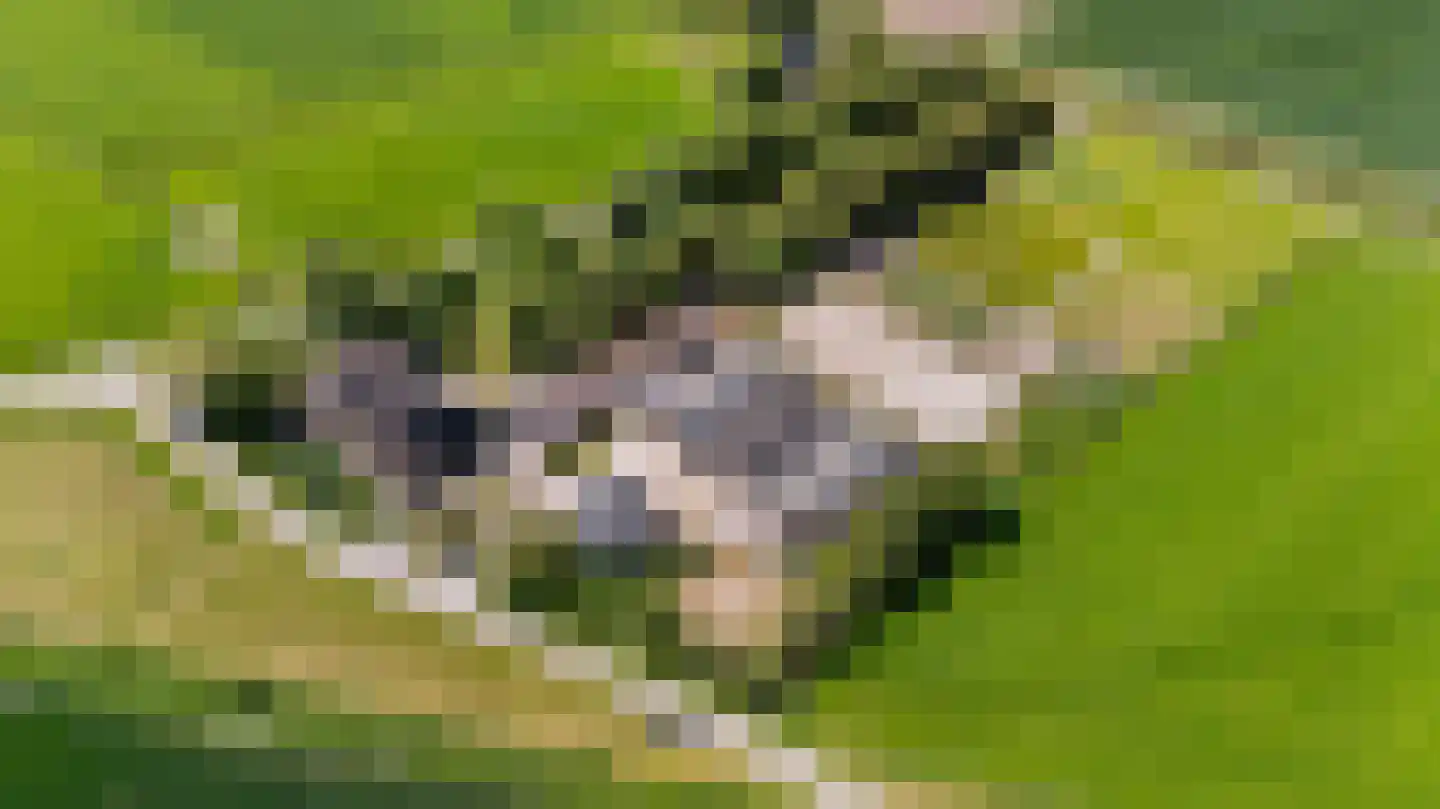 Witewei 2 Stiens thumbnail 54