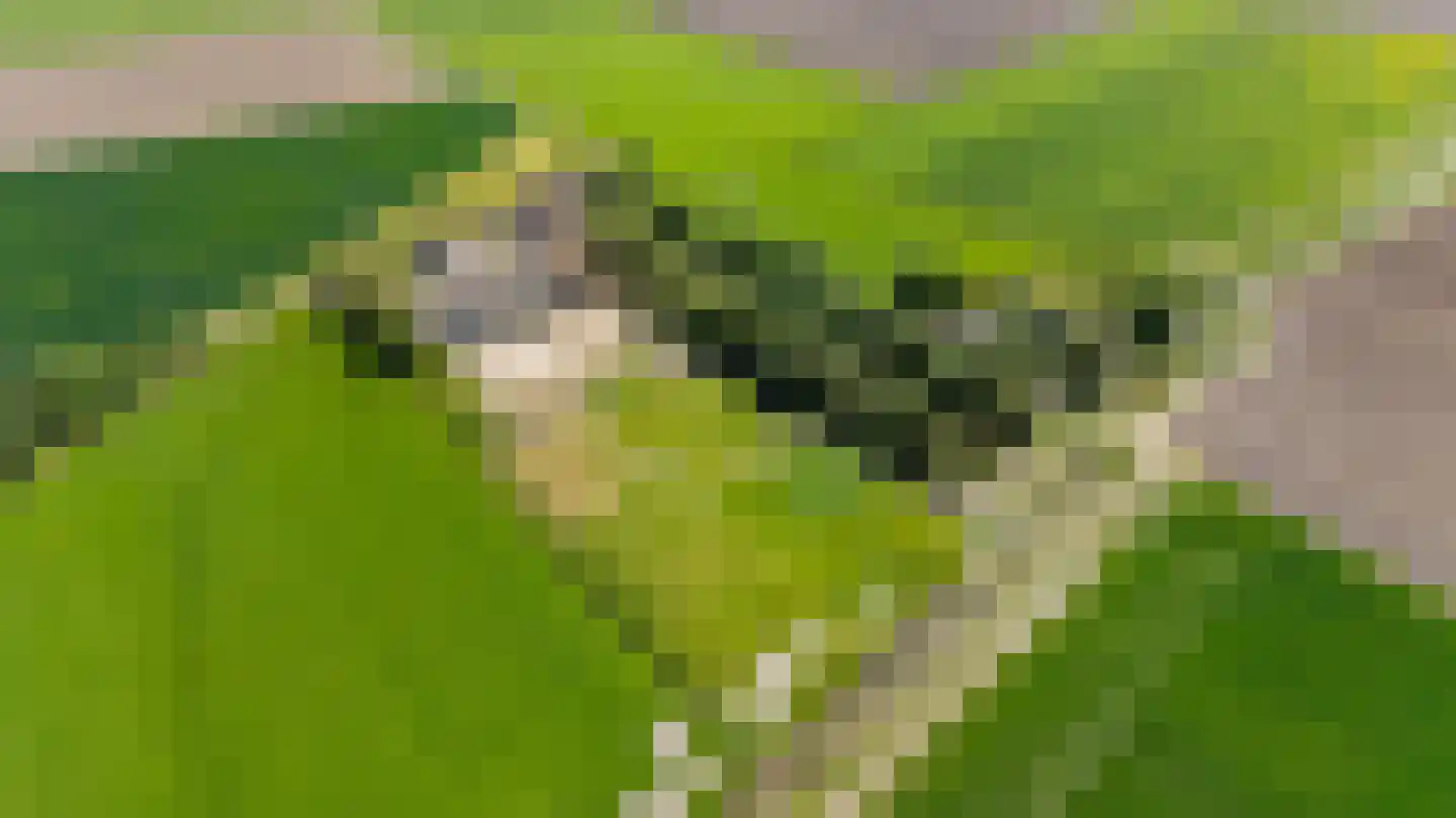 Witewei 2 Stiens thumbnail 55