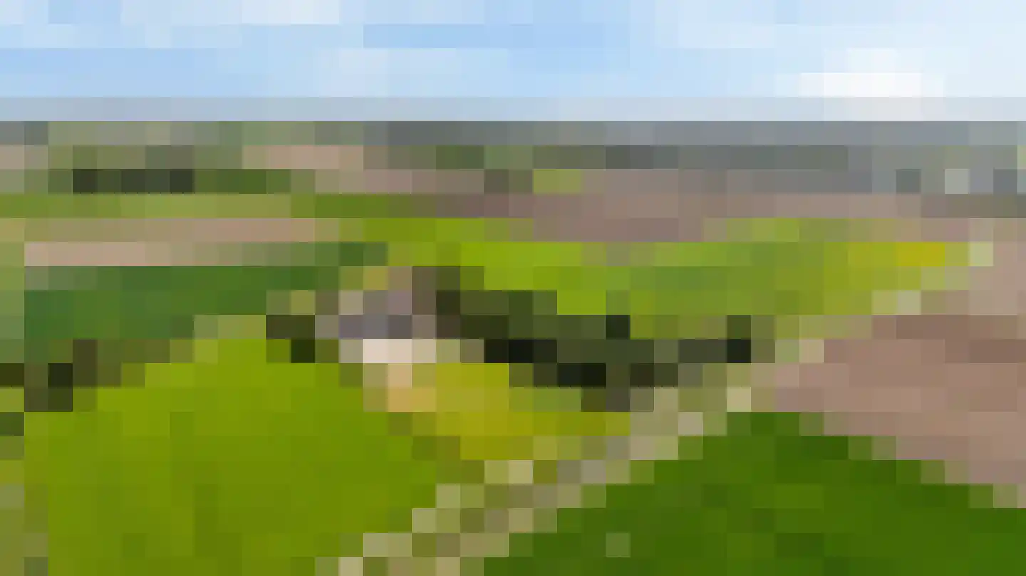 Witewei 2 Stiens thumbnail 56