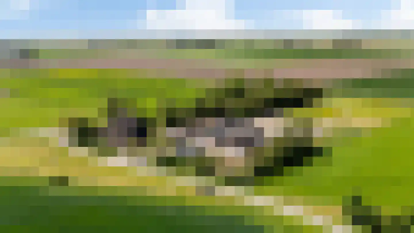 Witewei 2 Stiens thumbnail 57