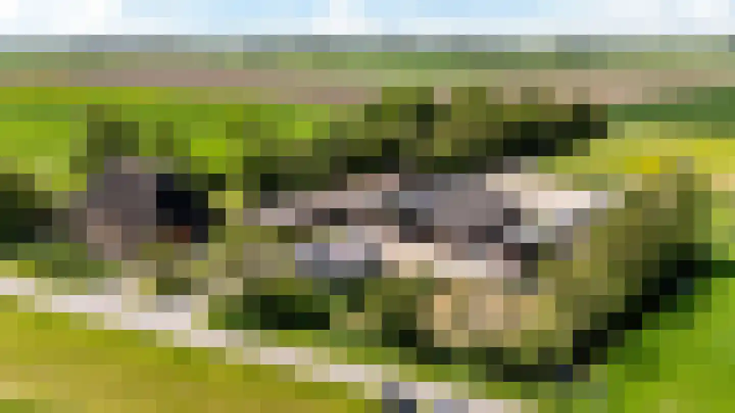 Witewei 2 Stiens thumbnail 58