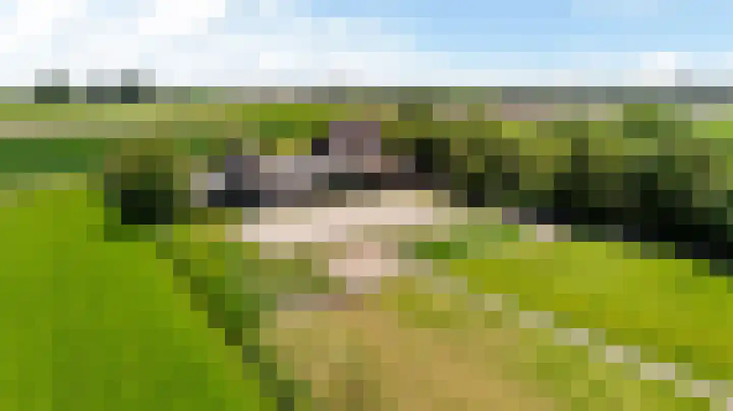 Witewei 2 Stiens thumbnail 59