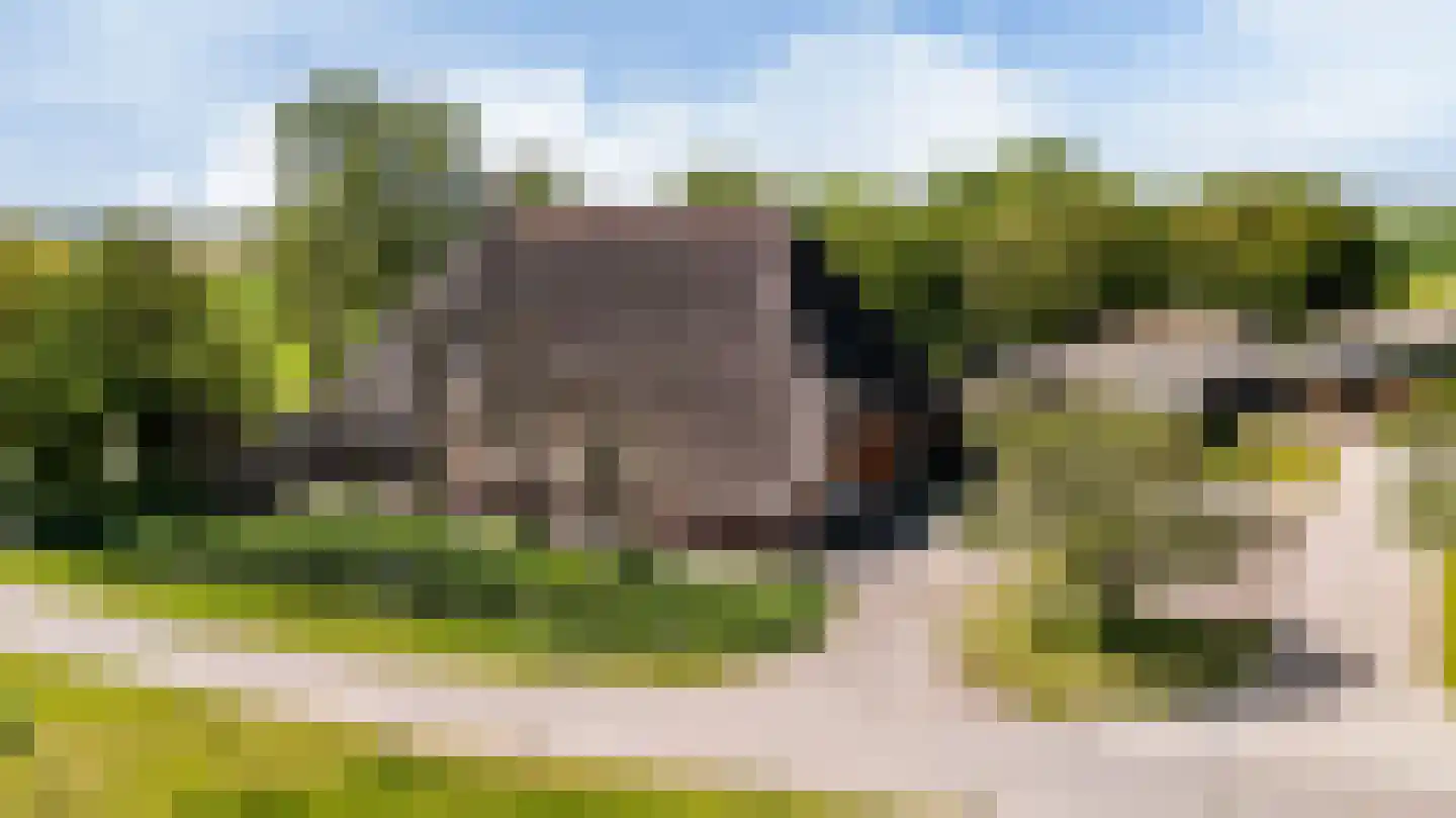 Witewei 2 Stiens thumbnail 61