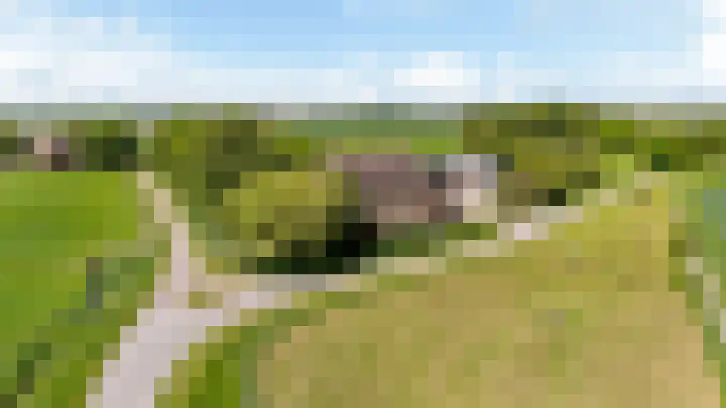 Witewei 2 Stiens thumbnail 62
