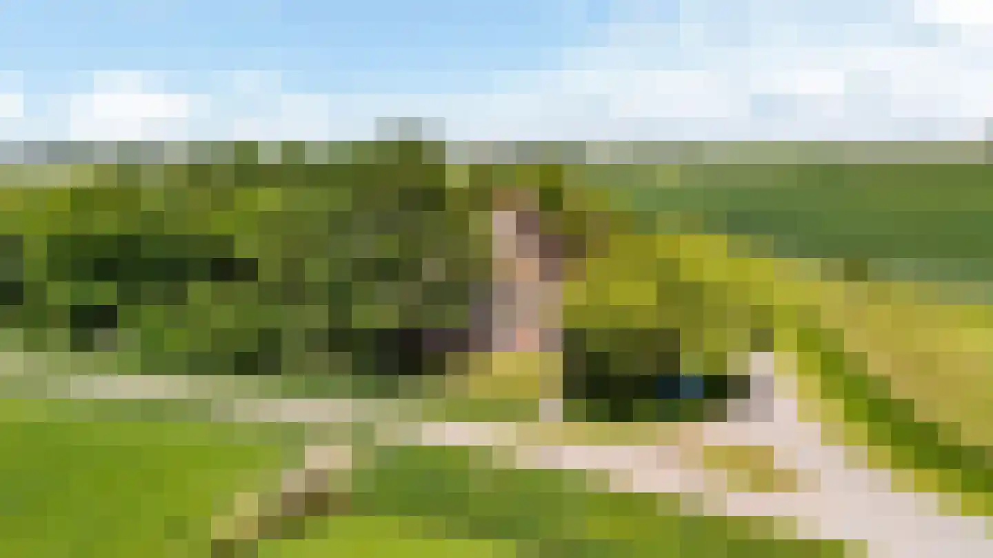 Witewei 2 Stiens thumbnail 63