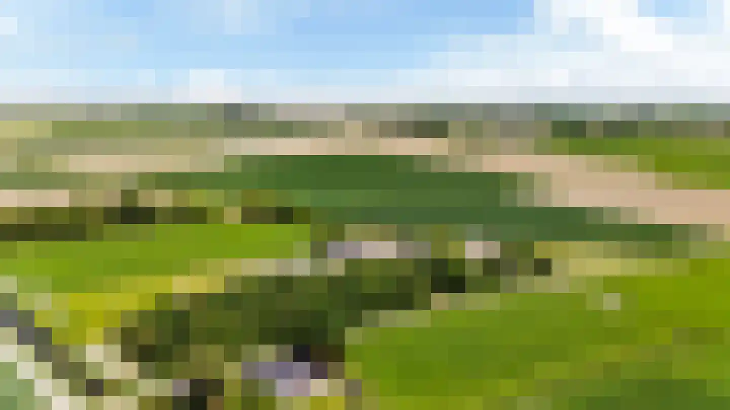 Witewei 2 Stiens thumbnail 64