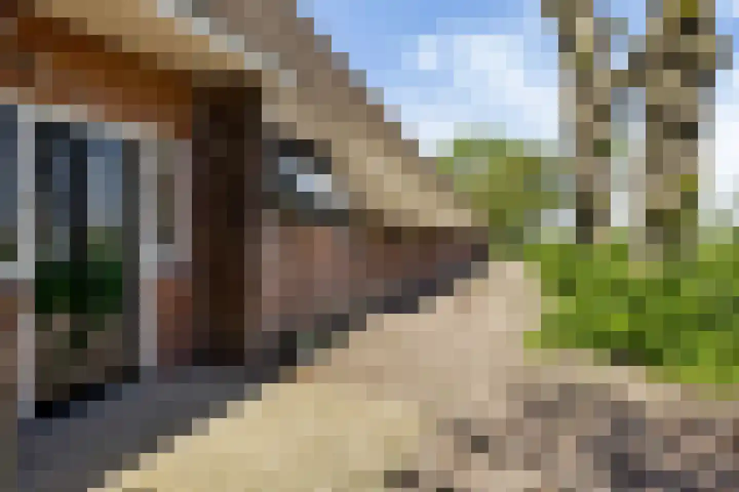 Witewei 2 Stiens thumbnail 69