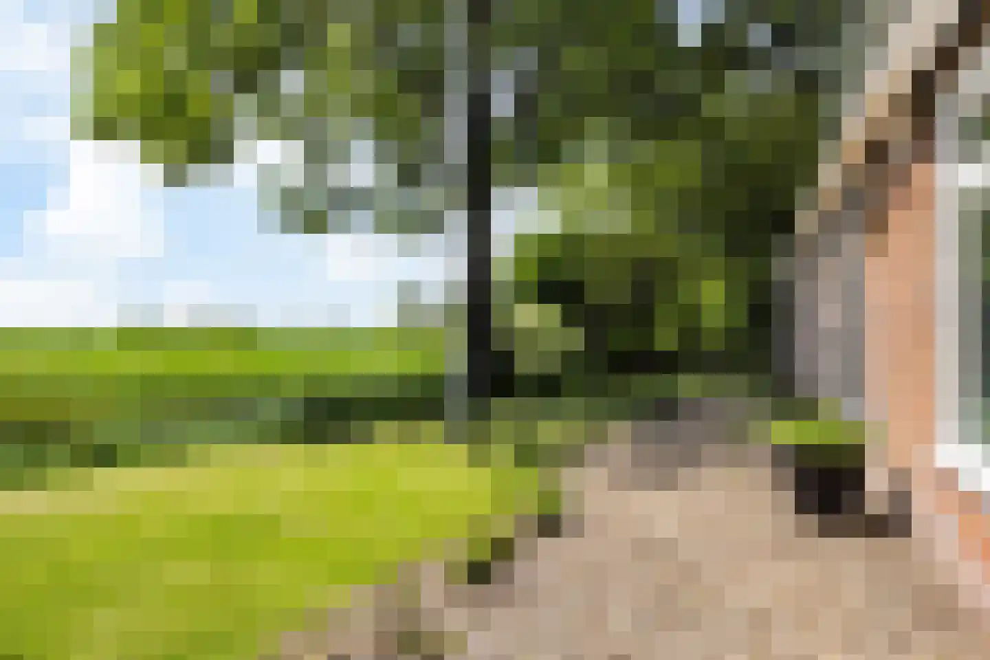 Witewei 2 Stiens thumbnail 70