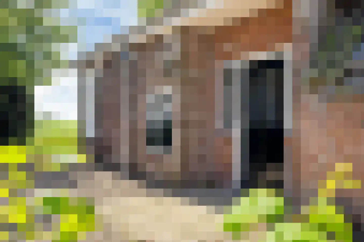 Witewei 2 Stiens thumbnail 71