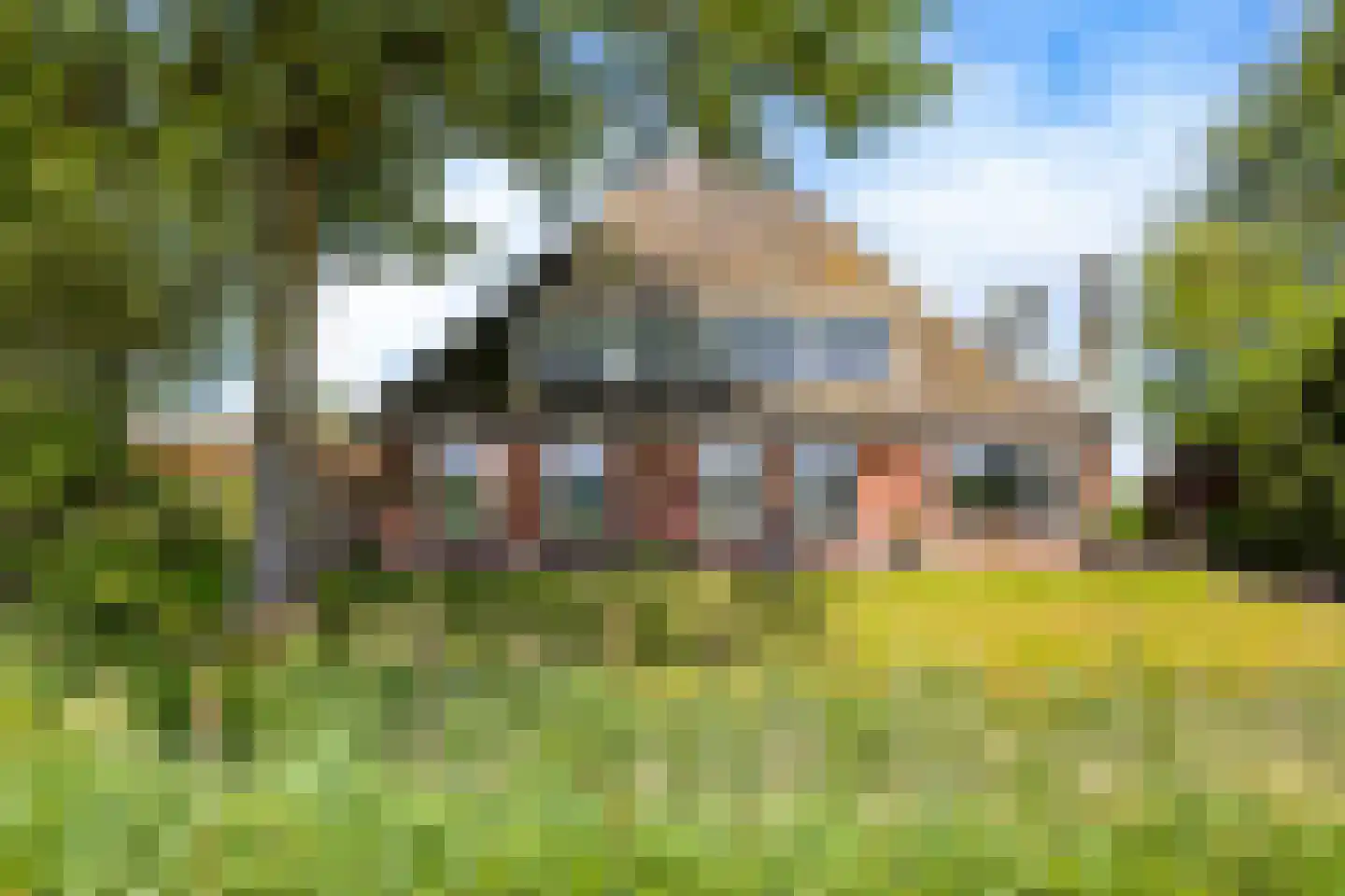 Witewei 2 Stiens thumbnail 72